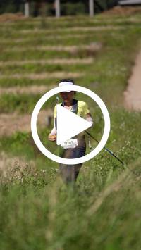 BIB:  <button type="button" onclick="openModal(26787456)" class="btn btn-primary btn-sm float-right" data-toggle="modal" data-target=".modal-high-quality">
                <i class="fa fa-download"></i> Download
                </button>